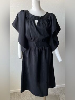 Anthropologie  Fleur Wood SILK dress- size 1